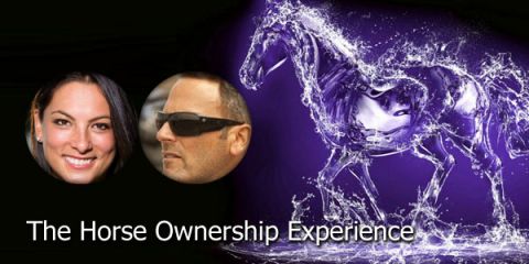 Programme: The Horse Ownership Experience