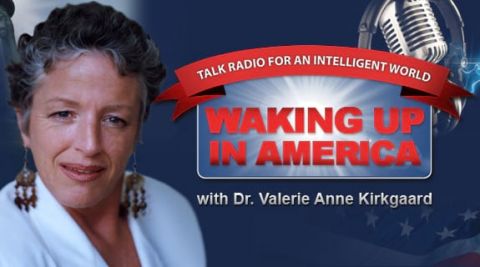 Programme: Waking Up in America