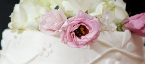 Programme: Weddings, Parties, Celebrations