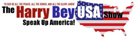 Programme: The Harry Bey USA